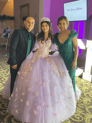Stunning Tulle Appliques Ball Gown Princess Dress - KissProm